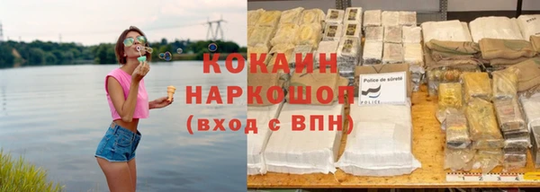 бошки Пересвет